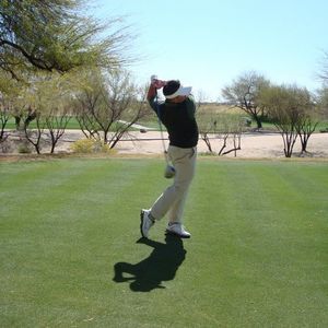 Meet your Posher, Ellis